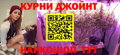 ПСИЛОЦИБИНОВЫЕ ГРИБЫ Заводоуковск