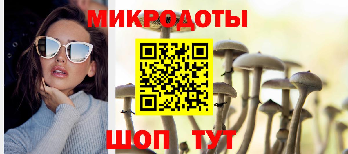 закладка  Вход с VPN  Махачкала  Галлюциногенные грибы ЛСД  Галлюциногенные грибы мухоморы 